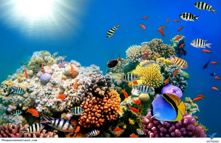 visitphuquoc